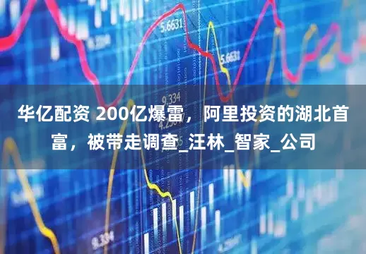 华亿配资 200亿爆雷，阿里投资的湖北首富，被带走调查_汪林_智家_公司