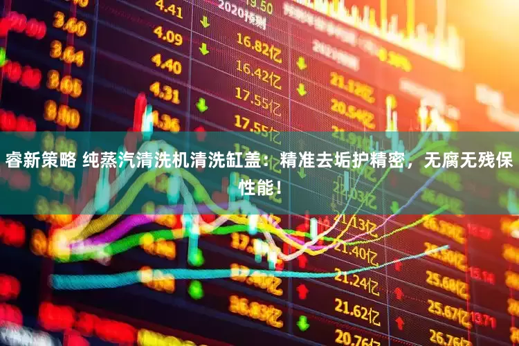 睿新策略 纯蒸汽清洗机清洗缸盖：精准去垢护精密，无腐无残保性能！